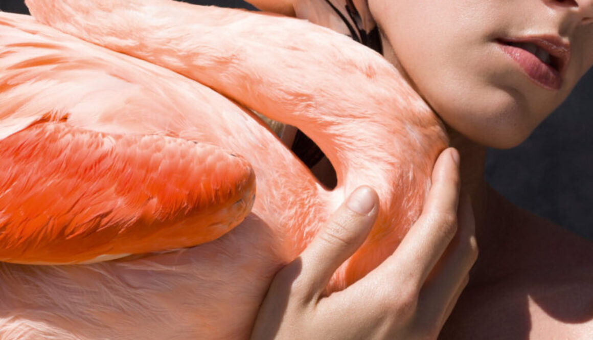 Portrait with Flamingo